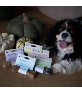 PAKA ZWIERZAKA Pepe Vet Healthy Joints - dog treat - 13,5cm