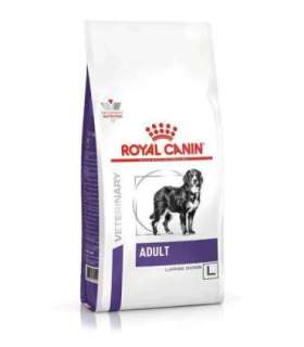 ROYAL CANIN Dog Neutered Adult Large VHN - dry dog food - 13kg
