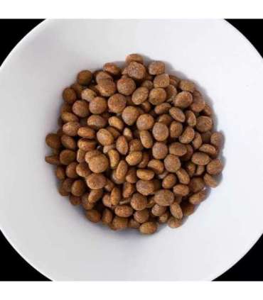 VET RESPONSE Hypoallergenic - dry dog food - 8kg