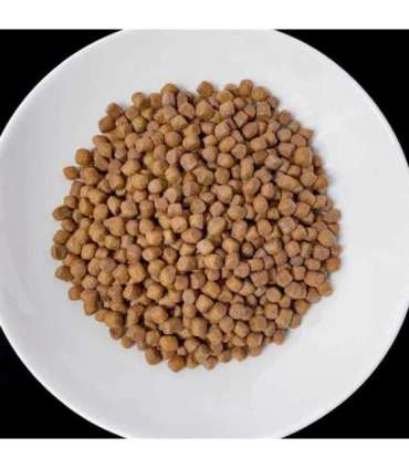 VET RESPONSE Renal - dry dog food - 1,6kg