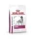 ROYAL CANIN Veterinary Renal dry dog food - 2kg