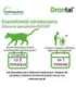 VETOQUINOL Drontal - anti-parasite tablets for cats - 2 pcs.