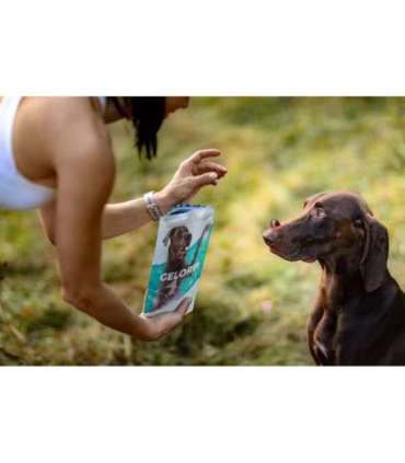 GELOREN Large dog Joints - dog vitamins - 420g