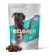 GELOREN Large dog Joints - dog vitamins - 420g