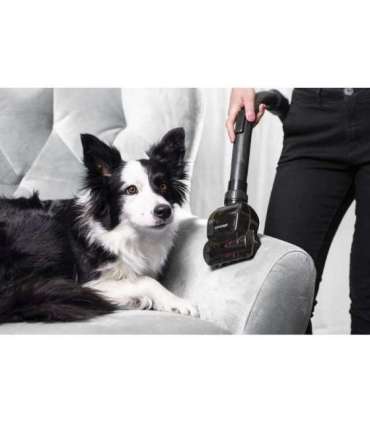 Concept VP5151 vacuum 2 L Drum vacuum Dry 800 W Bagless