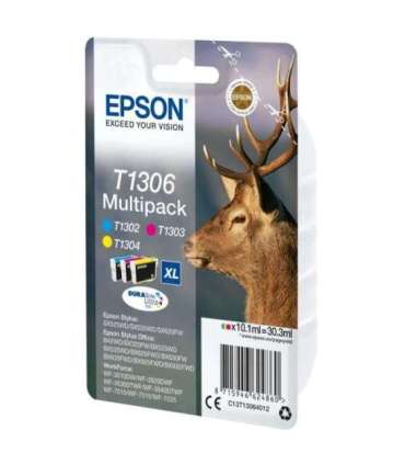Epson Ink Multipack T1306 (C13T13064012)