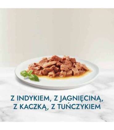 PURINA Gourmet Perle Mini fillets in sauce - wet cat food - 60x85g