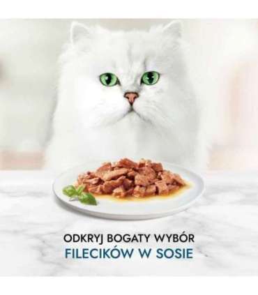 PURINA Gourmet Perle Mini fillets in sauce - wet cat food - 60x85g