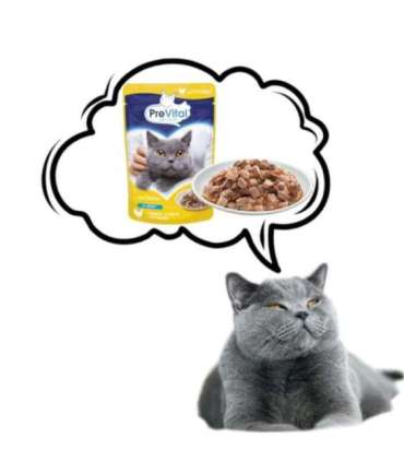 PREVITAL Chicken in gravy - wet cat food - 100g
