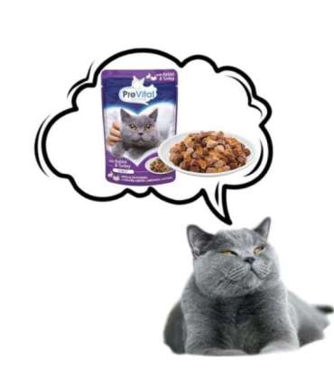 PREVITAL Turkey and rabbit in jelly - wet cat food - 100g