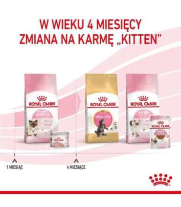 Royal Canin BABYCAT INSTINCTIVE - Wet cat food - 195 g