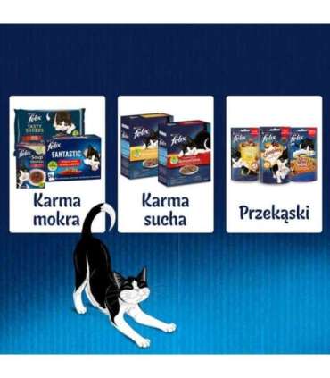 Felix Fantastic country flavors in jelly - Wet food for cats - 24x 85g