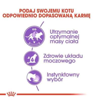 ROYAL CANIN FHN Sterilised in sauce - wet food for adult cats - 12x85g