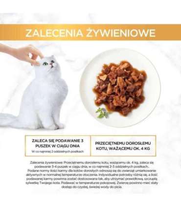 GOURMET GOLD - Casserole duck and turkey 85g