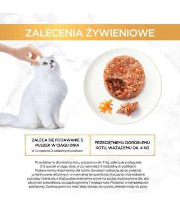 GOURMET GOLD - Savoury Cake with Chicken and Carrot 85g