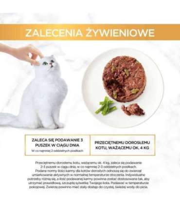 GOURMET GOLD - Savoury Cake with Lamb and Green Beans 85g