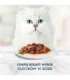 PURINA Gourmet Perle Mix - wet cat food - 60x85 g