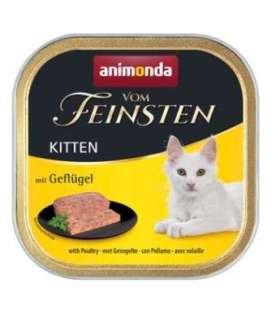 ANIMONDA Vom Feinsten Kitten Chicken - wet cat food - 100g