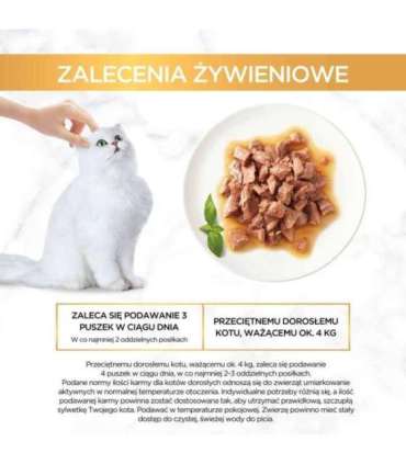 GOURMET GOLD Sauce Delights Chicken 85g