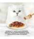 GOURMET Gold Sauce Delight Beef - wet cat food - 85 g