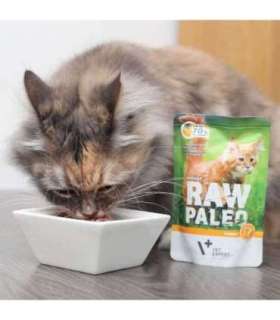 RAW PALEO Adult Cat Turkey - wet cat food - 100 g