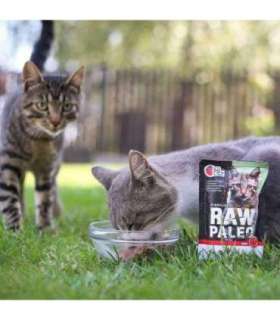 RAW PALEO Adult Cat Sterilised Beef - wet cat food - 100 g