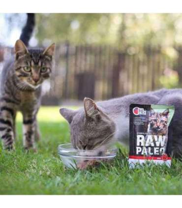 RAW PALEO Adult Cat Sterilised Beef - wet cat food - 100 g