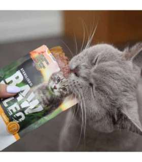 RAW PALEO Adult Cat Sterilised Turkey - wet cat food - 100 g