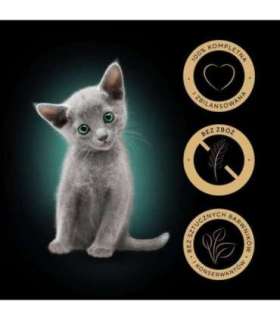 SHEBA Kitten Selection of Flavors in Sauce - wet cat food - 40x85 g