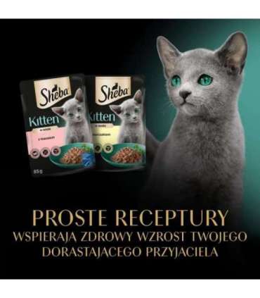 SHEBA Kitten Selection of Flavors in Sauce - wet cat food - 40x85 g