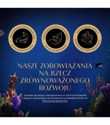 SHEBA Kitten Selection of Flavors in Sauce - wet cat food - 40x85 g