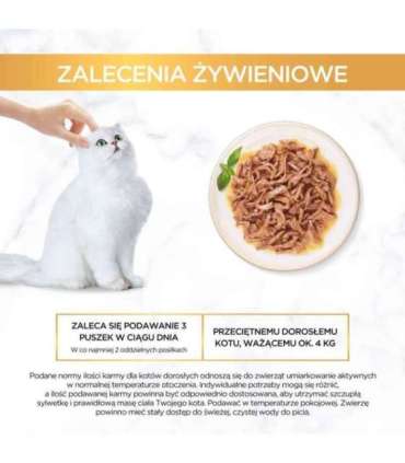 PURINA Gourmet Gold Succulent Delights Chicken - wet cat food - 85g