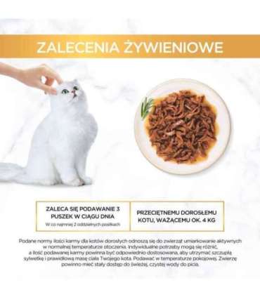 PURINA Gourmet Gold Succulent Delights Beef - wet cat food - 85g