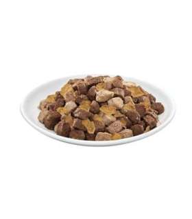PREVITAL Beef in jelly - wet cat food - 100g
