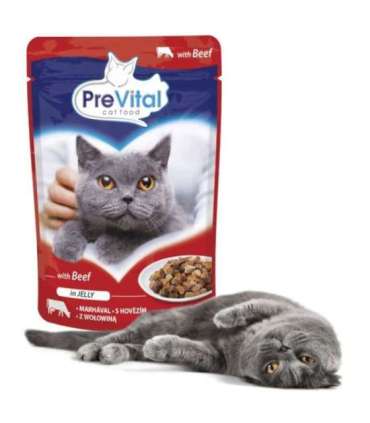 PREVITAL Beef in jelly - wet cat food - 100g