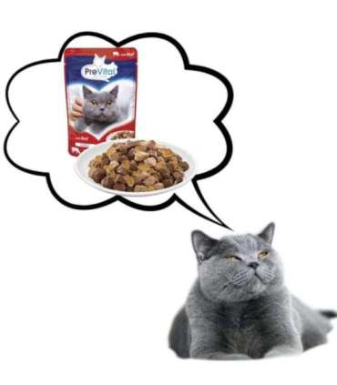 PREVITAL Beef in jelly - wet cat food - 100g