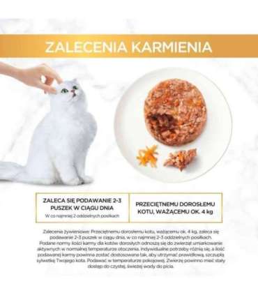 PURINA Gourmet Gold Savoury cake - wet cat food - 48x85g