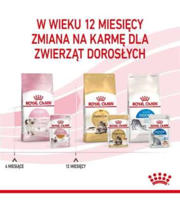 Royal Canin FHN Kitten Instinctive in jelly - wet food for kittens - 12x85g