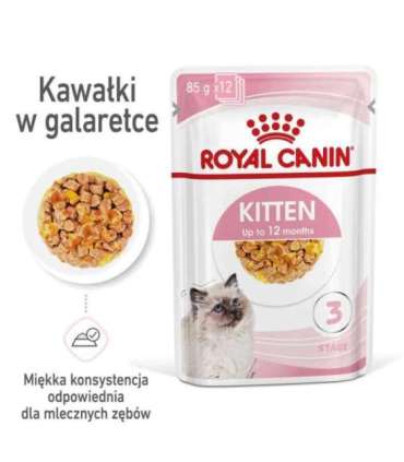 Royal Canin FHN Kitten Instinctive in jelly - wet food for kittens - 12x85g