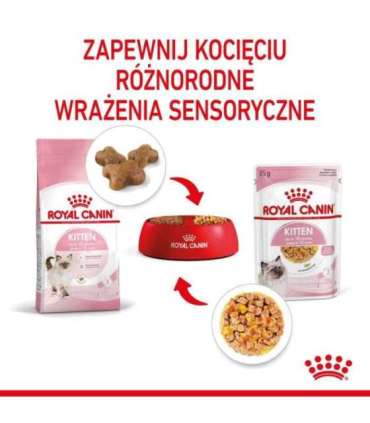 Royal Canin FHN Kitten Instinctive in jelly - wet food for kittens - 12x85g