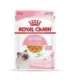 Royal Canin FHN Kitten Instinctive in jelly - wet food for kittens - 12x85g