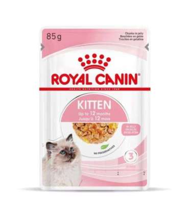Royal Canin FHN Kitten Instinctive in jelly - wet food for kittens - 12x85g