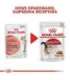 ROYAL CANIN FHN Instinctive - wet pate food for adult cats - 12x 85g