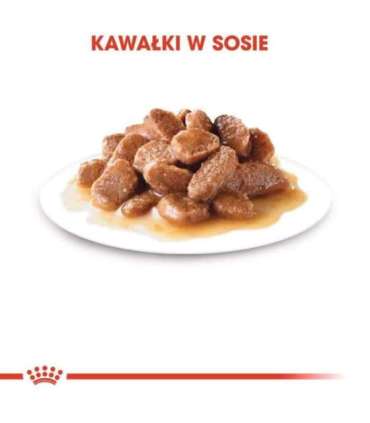 ROYAL CANIN FHN Instinctive - wet pate food for adult cats - 12x 85g