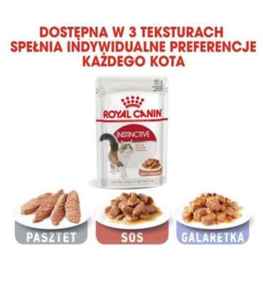 ROYAL CANIN FHN Instinctive - wet pate food for adult cats - 12x 85g