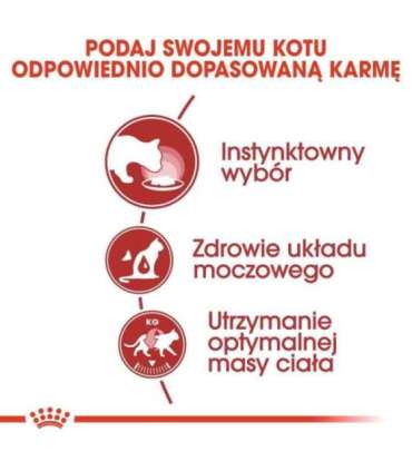 ROYAL CANIN FHN Instinctive - wet pate food for adult cats - 12x 85g