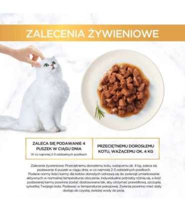 PURINA GOURMET GOLD Pieces in sauce Mix of 4 flavors - wet cat food - 96x85g