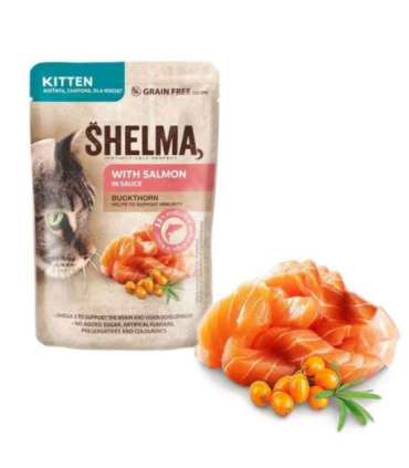 SHELMA Kitten with salmon in sauce - wet cat food - 85g