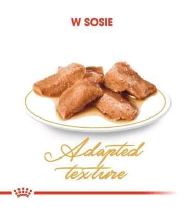 ROYAL CANIN FBN Maine Coon - Cat wet food - sachet 12x 85g