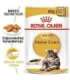 ROYAL CANIN FBN Maine Coon - Cat wet food - sachet 12x 85g